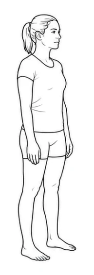 Bodyweight squat – Stand tall with your feet about shoulder-width apart and toes turned slightly outward. Share your weight evenly across both feet. Let your arms hang by your sides.