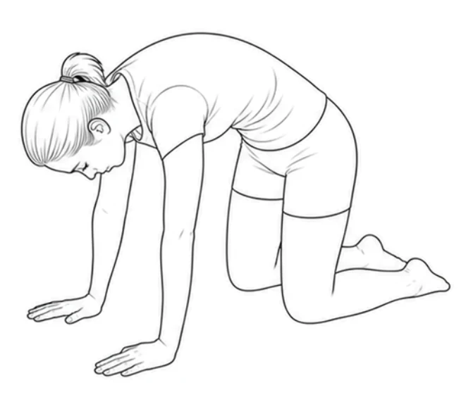 Cat Camel – Start on all fours with your hands under your shoulders and knees under your hips. Round your back upward and let your head drop.