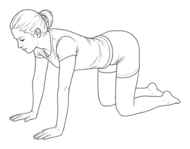 Quadruped hip extension – Start on all fours with your hands under your shoulders and knees under your hips. Keep your arms straight and back still, and look down.