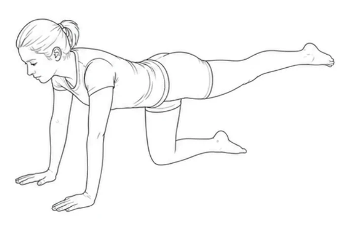 Quadruped hip extension – Extend your right leg straight back until it is level with your back. Keep your back still and do not let your hips turn. Return the knee and change legs.