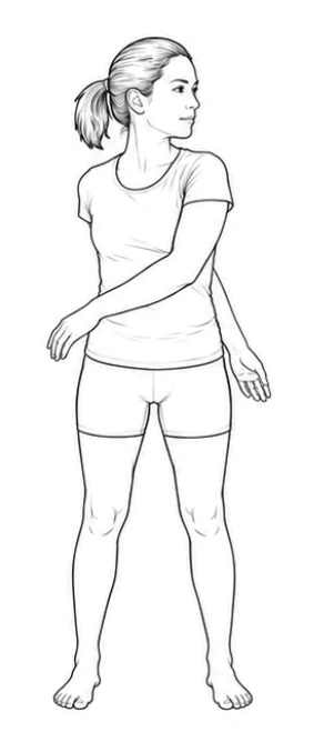 Standing trunk rotation with reach – Begin the turn in your upper back and let the movement continue through your trunk. Let your arms swing heavily and loosely around your body. Swing back through the centre and continue to the other side.