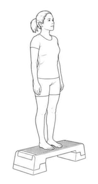 Step-up – Press up through your left leg and place your right foot beside the left. Stand upright with both feet on the platform. Then step down under control with your right foot first, followed by your left foot.