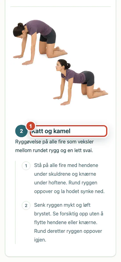 Det oppdaterte pasientprogrammet med den nye øvelsen markert.