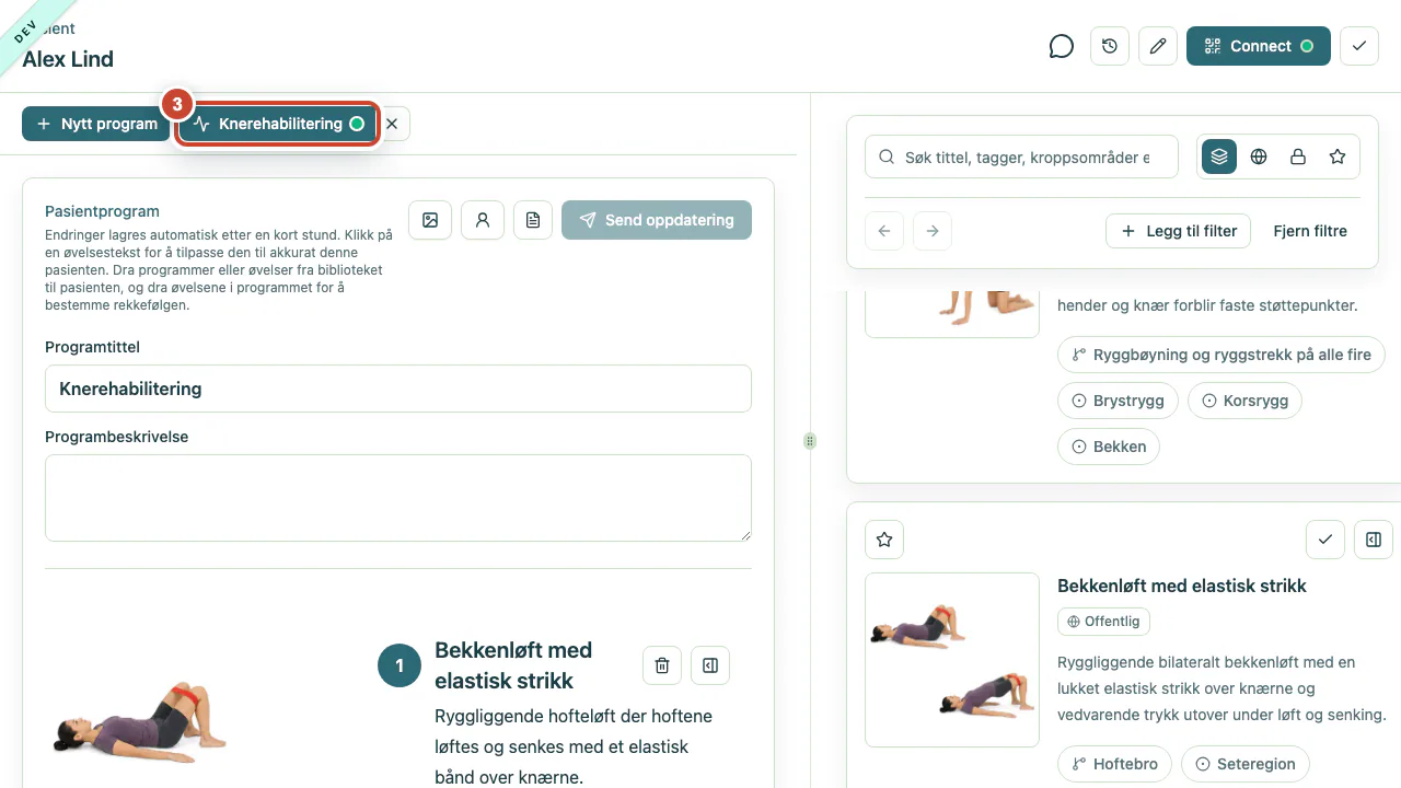 Programarbeidsområdet med en grønn statusprikk på fanen for det leverte programmet.